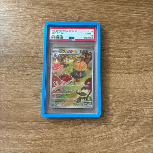 PSA Graded Card Bumper Sky Blue