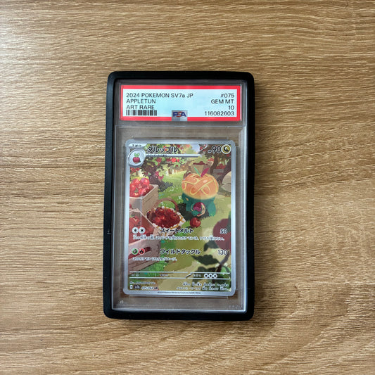 PSA Graded Card Bumper Midnight Black