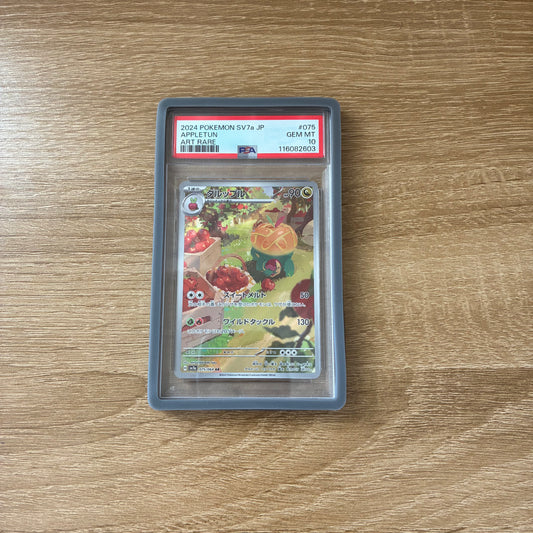 PSA Graded Card Bumper City Grey
